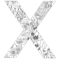 Plant Alphabet, Letter X
