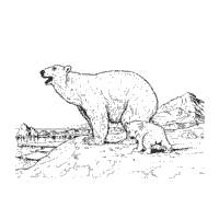 Mother Polar Bear and Cub