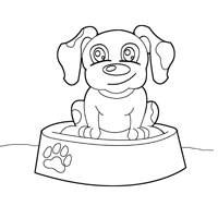Puppy In a Dish