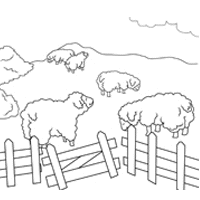 Sheep in a Pen