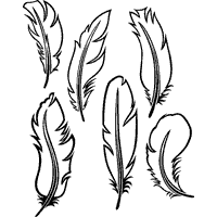 Six Feathers