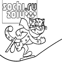 Skating at the Sochi Olympics