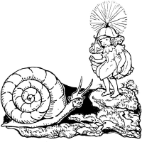 Snail and Fairy