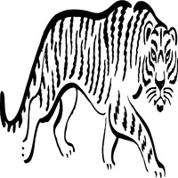 Stalking Tiger