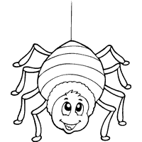Stripey Spider