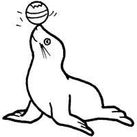 Talented Seal