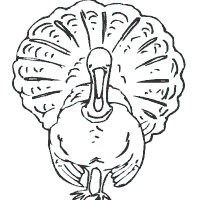 Thanksgiving, Live Turkey