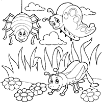 Bug » Coloring Pages » Surfnetkids
