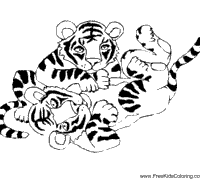 Playful Cubs Coloring Pages Surfnetkids