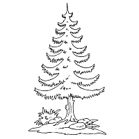 Christmas Tree » Coloring Pages » Surfnetkids