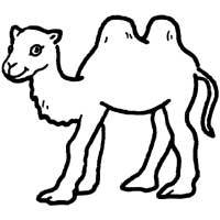 Two Humped Camel