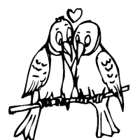Valentine’s Day, Lovebirds on Branch
