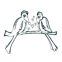 Valentine’s Day, Lovebirds