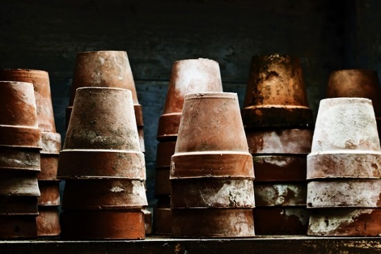 Clay Flower Pots