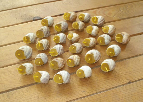 Beeswax Candles Votives In Snail Shell