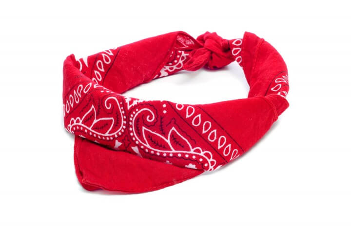 Stamped Bandanna