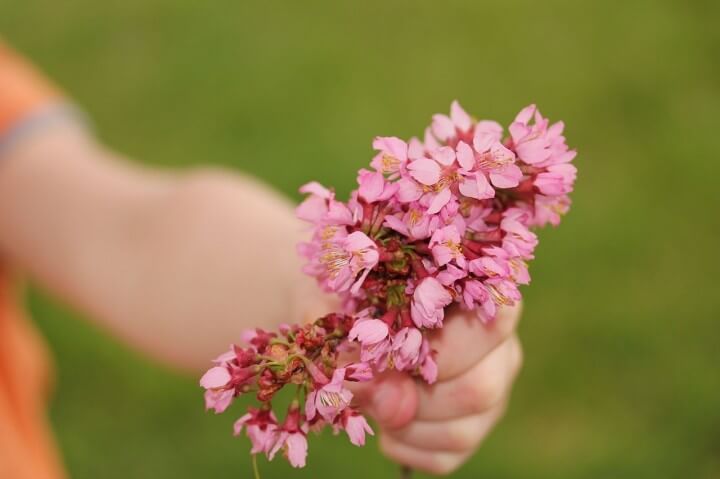 Mother's Day Poem Picture Color