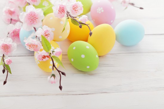 colorful easter eggs and branch with flowers