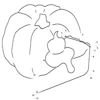 Pumpkin Pie Dot to Dot