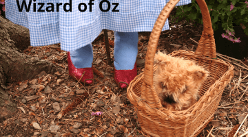 Wizard of Oz online resources
