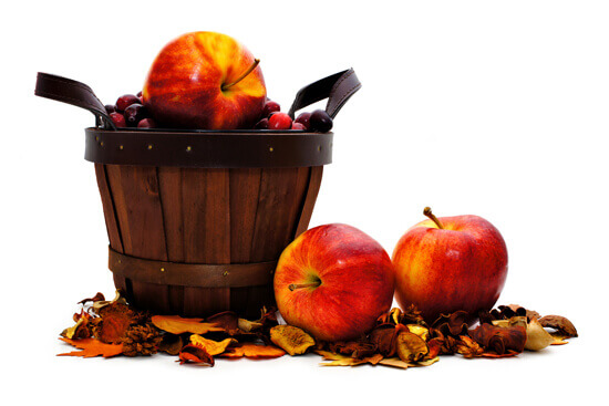 Harvest-time 550px